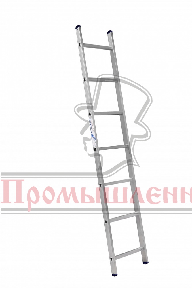 /upload/resize_cache/iblock/2a3/667_1000_149c5381d6704a324c0406b3269865c9a/2a37752cd2922857e165e17a4e69aa0a.jpg