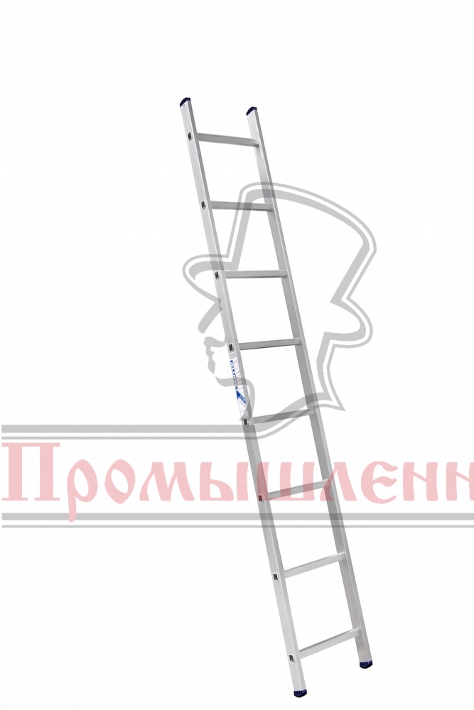 /upload/resize_cache/iblock/4e6/667_1000_149c5381d6704a324c0406b3269865c9a/4e60d952e7642d220904bf194c6c9057.jpg