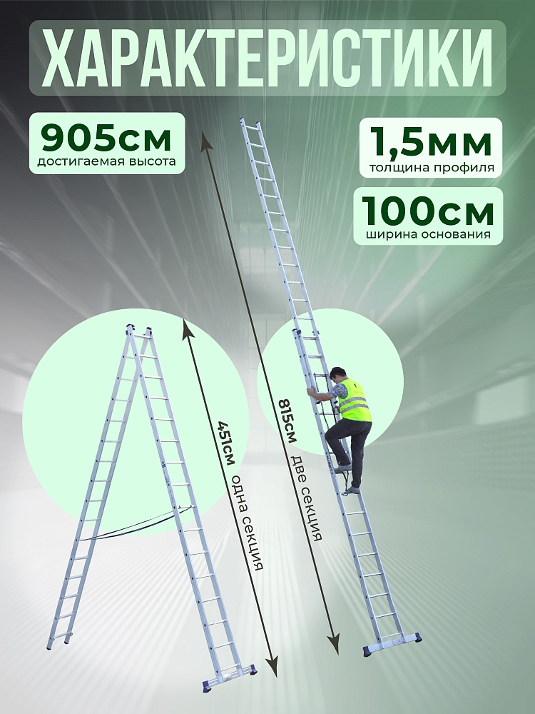 Лестница двухсекционная Alumet Ал 6216 фото 2