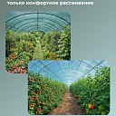 Сетка затеняющая Промышленник зеленая 50% 4х50 м фото 3